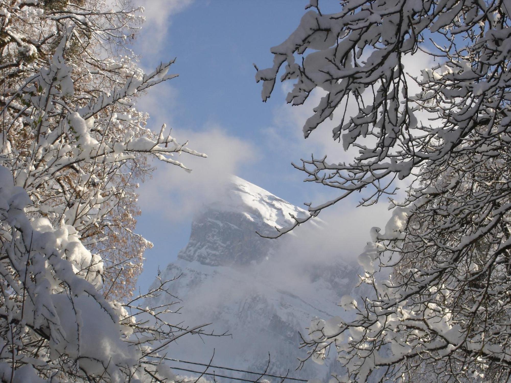 Edelweiss Hotell Samoëns Exteriör bild